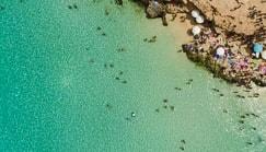 100% 예약 수수료 없음